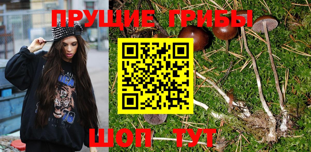 Галлюциногенные грибы ЛСД  Вход с VPN  Псилоцибиновые грибы GOLDEN TEACHER  Воткинск 